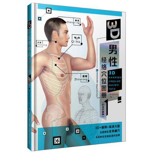 3D男性经络穴位图册:白金珍藏版