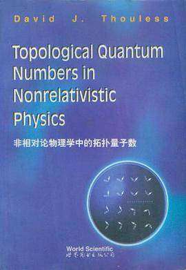 非相对论物理学中的拓扑量子数