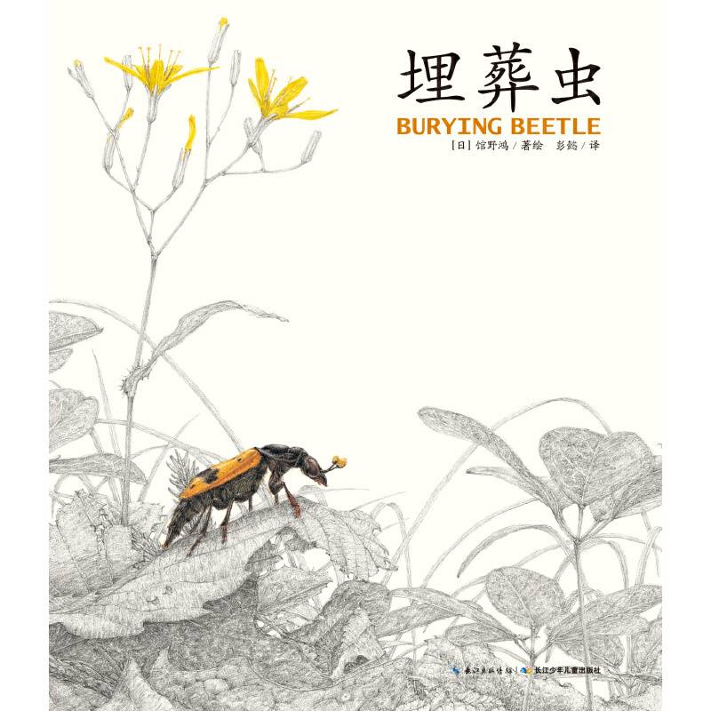 馆野鸿科学绘本：埋葬虫