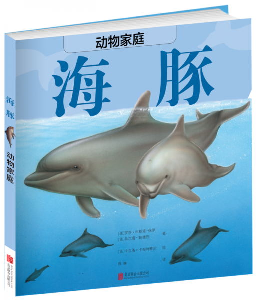 动物家庭：海豚