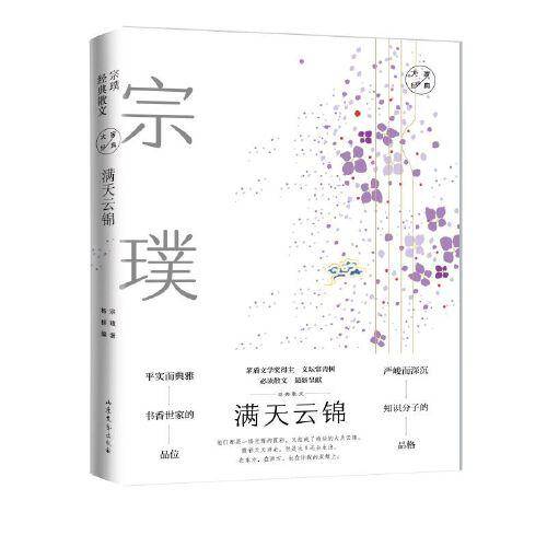 满天云锦：宗璞经典散文 大家经典散文系列