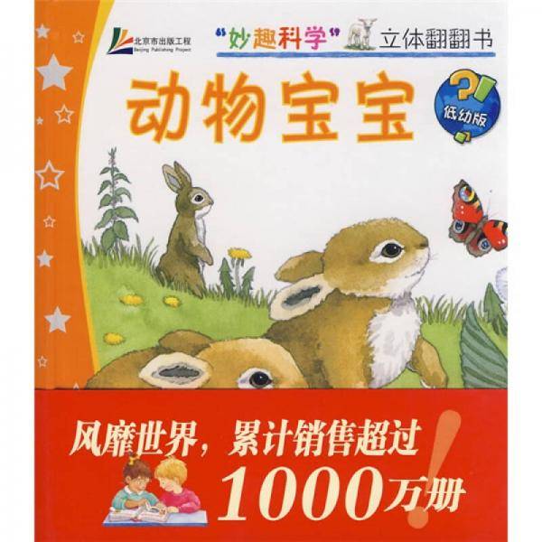 动物宝宝