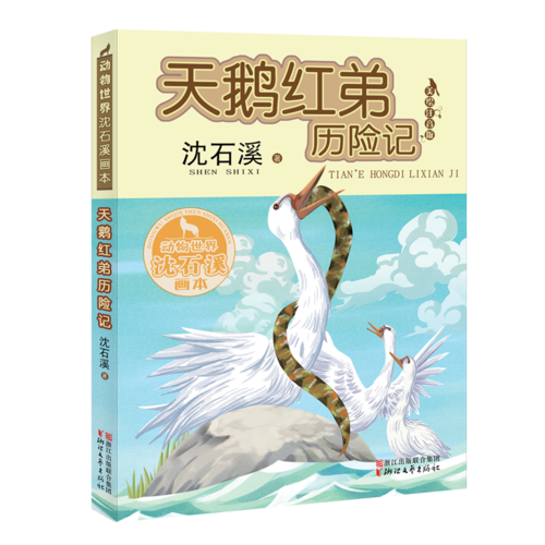 天鹅红弟历险记（动物世界沈石溪画本 美绘注音版）