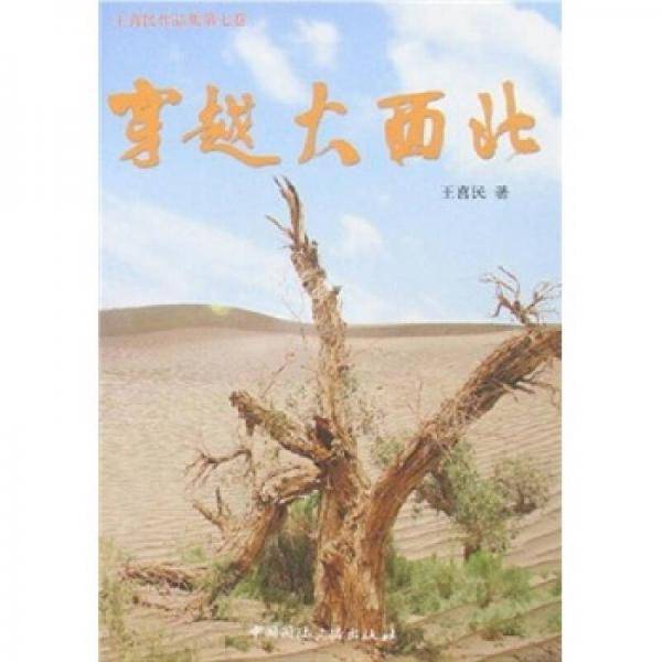 穿越大西北