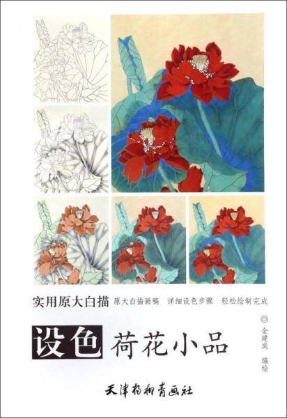 设色荷花小品/实用原大白描