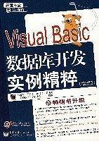 Visual Basic数据库开发实例精粹