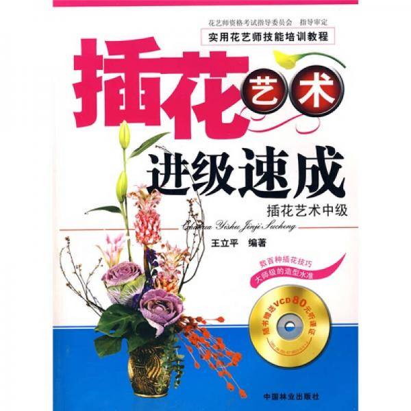 插花艺术进级速成