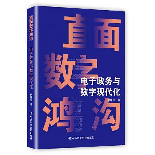 直面数字鸿沟：电子政务与数字现代化