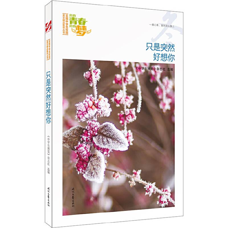 我的青春我的梦：只是突然好想你