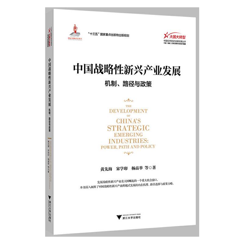中国战略性新兴产业发展：机制、路径与政策