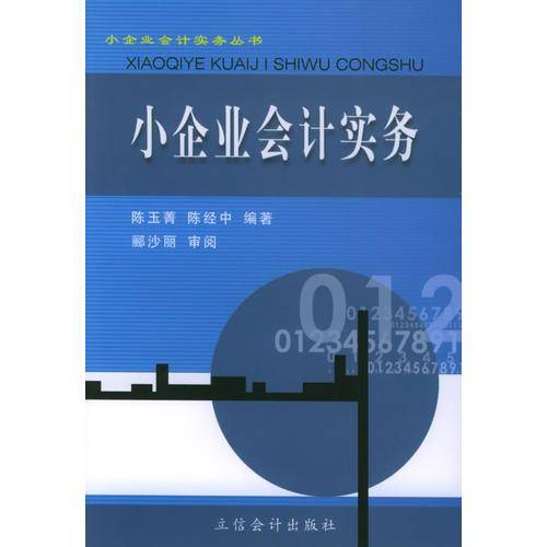 小企业会计实务