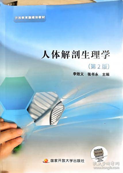 人体解剖生理学