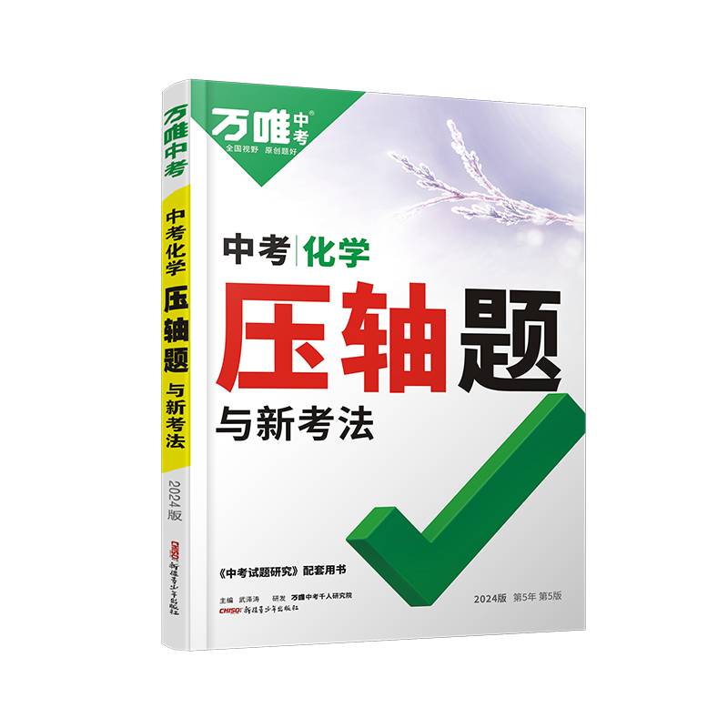 2024万唯中考中考化学压轴题与新考法