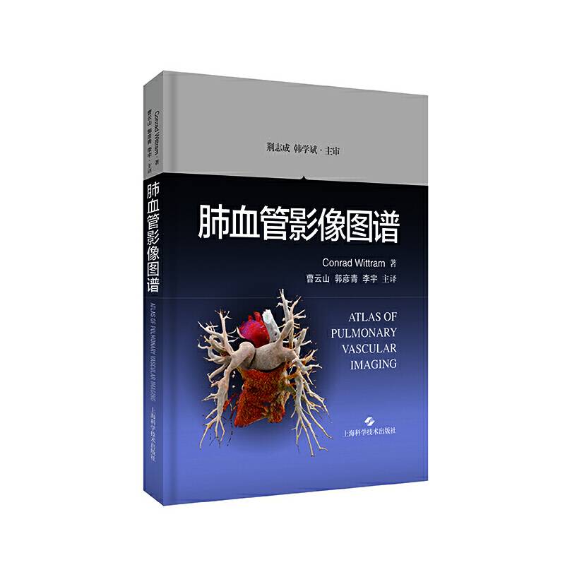 肺血管影像图谱
