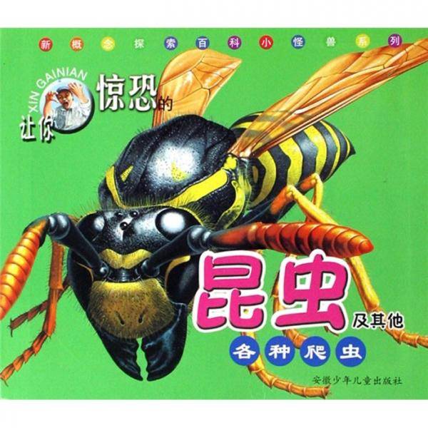 让你惊恐的昆虫及其他各种爬虫