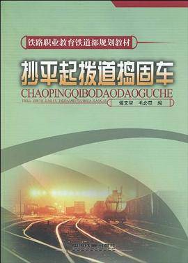 抄平起拨道捣固车