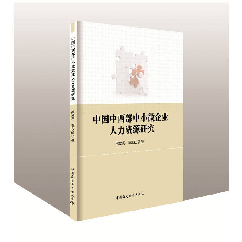 中国中西部中小微企业人力资源研究