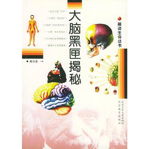 大脑黑匣揭秘
