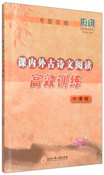专题攻略：课内外古诗文阅读高效训练（中考版）