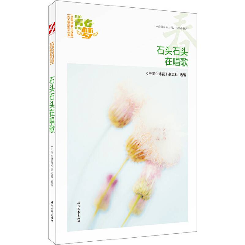 我的青春我的梦：石头石头在唱歌