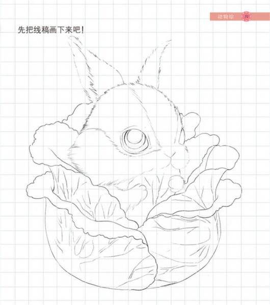 动物绘――30种萌宠动物的色铅笔图绘