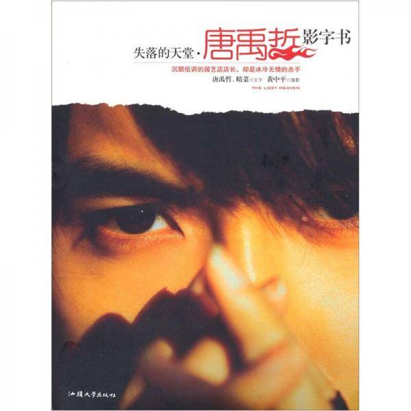 失落的天堂-唐禹哲影字书