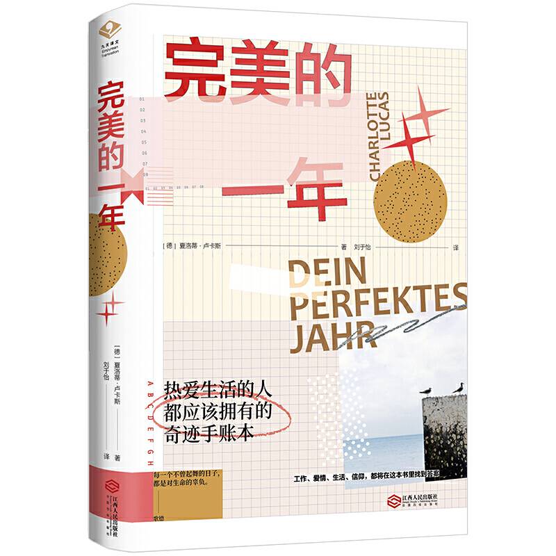完美的一年