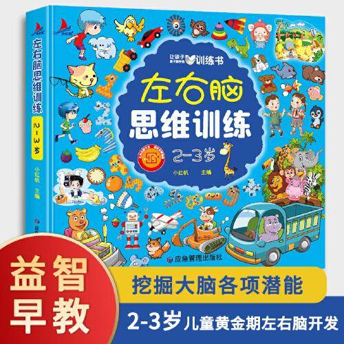 左右脑思维训练2-3岁儿童全脑开发专注力逻辑力想象力益智游戏