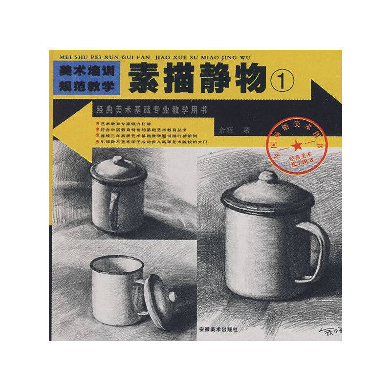 美术培训规范教学-素描静物1