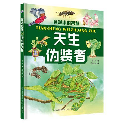 自然中的智慧—天生伪装者