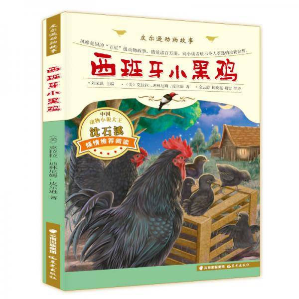 西班牙小黑鸡