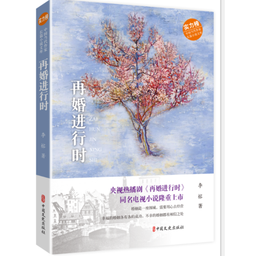 再婚进行时/实力榜中国当代作家长篇小说文库