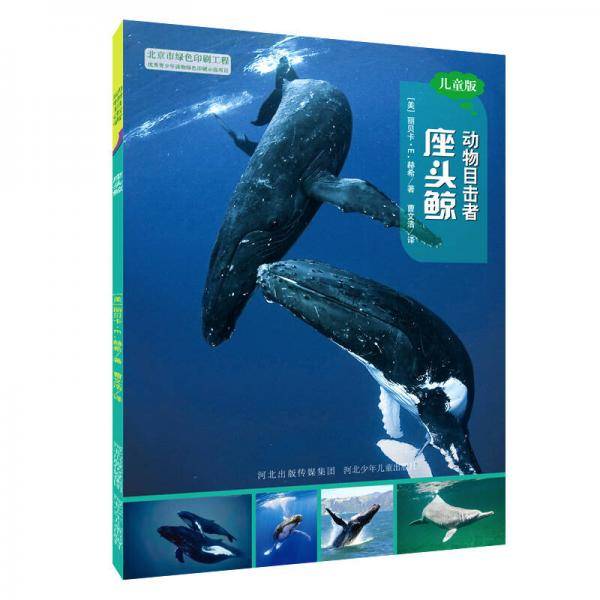 座头鲸