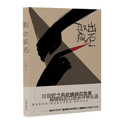 取出疯石（西川作序推荐；文学新人类周婉京的“酷”小说合集；取出我们脑袋里疯狂的石头！）