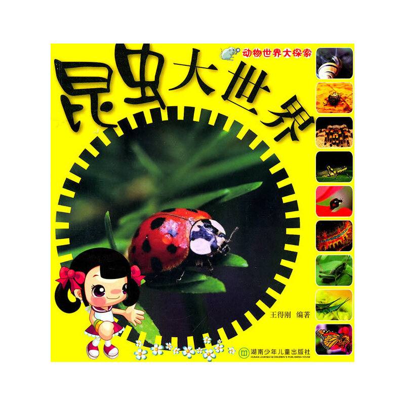 昆虫大世界