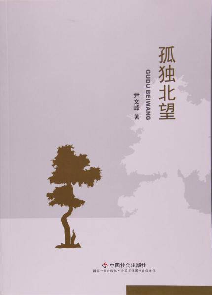 孤独北望