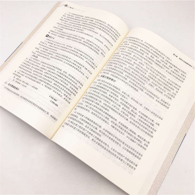 审计学（普通高校“十三五”规划教材・会计学系列）