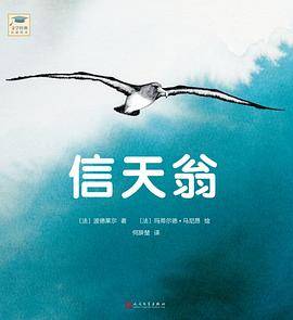 信天翁