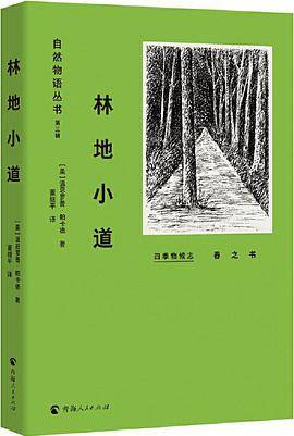 林地小道