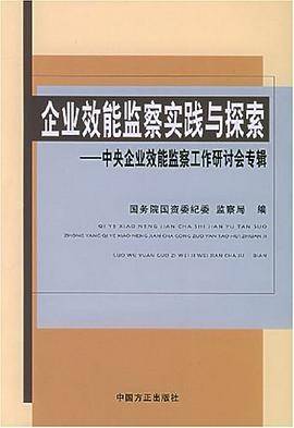 企业效能监察实践与探索
