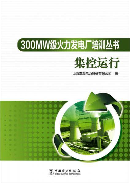 300MW级火力发电厂培训丛书 集控运行