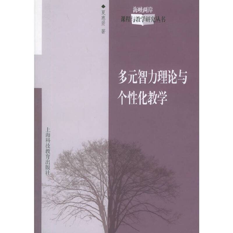 多元智力理论与个性化教学——海峡两岸课程与教学研究丛书