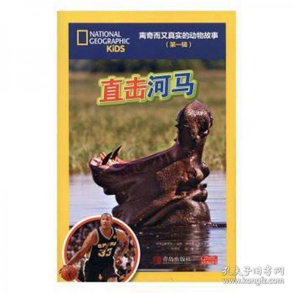 直击河马离奇而又真实的动物故事第1辑