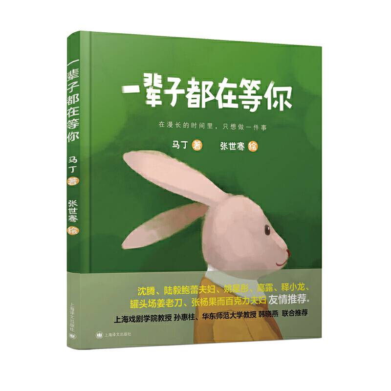 一辈子都在等你