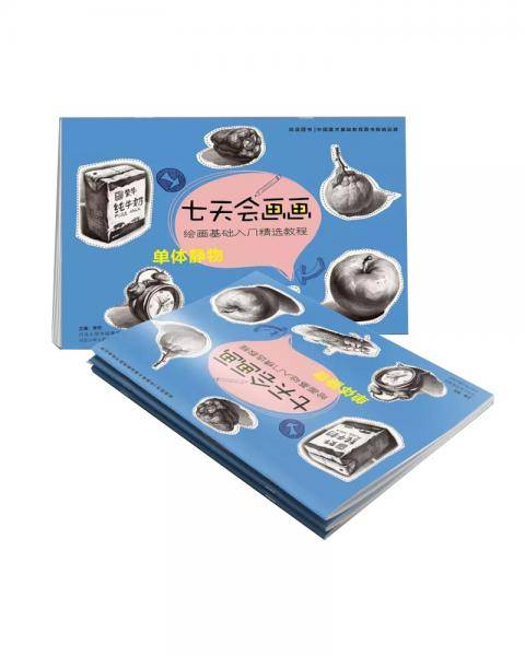 七天会画画：单体静物