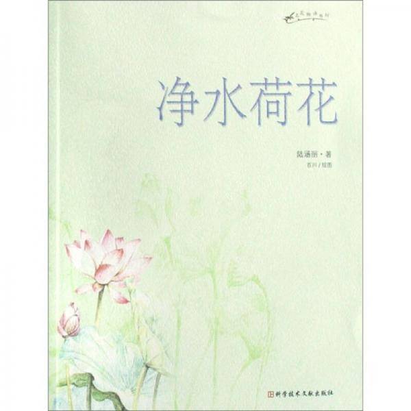 净水荷花