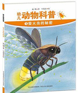萤火虫的秘密