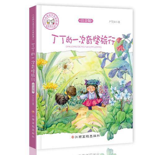 中国儿童文学名家经典-丁丁的一次奇怪旅行
