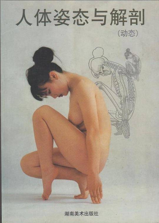人体姿态与解剖(动态)