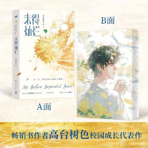 未得灿烂（畅销书作家高台树色校园成长代表作）
